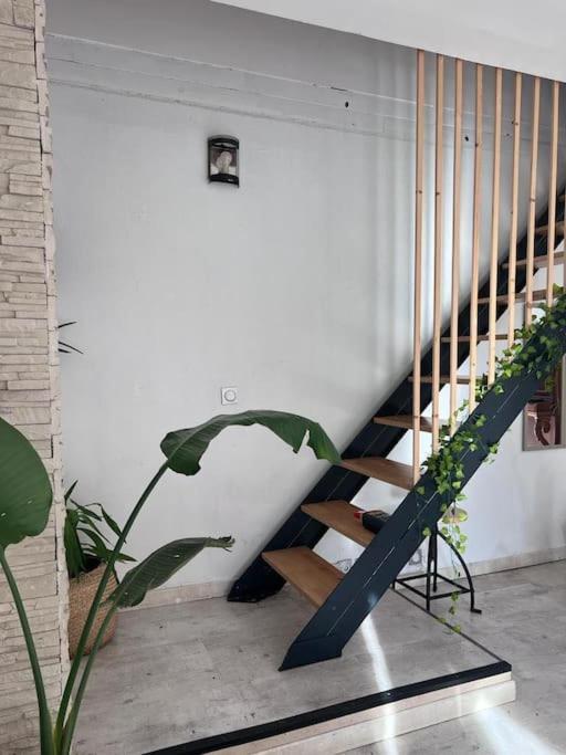 Maison Type 4 Et Jardin Spacieux Ferienhaus Signes